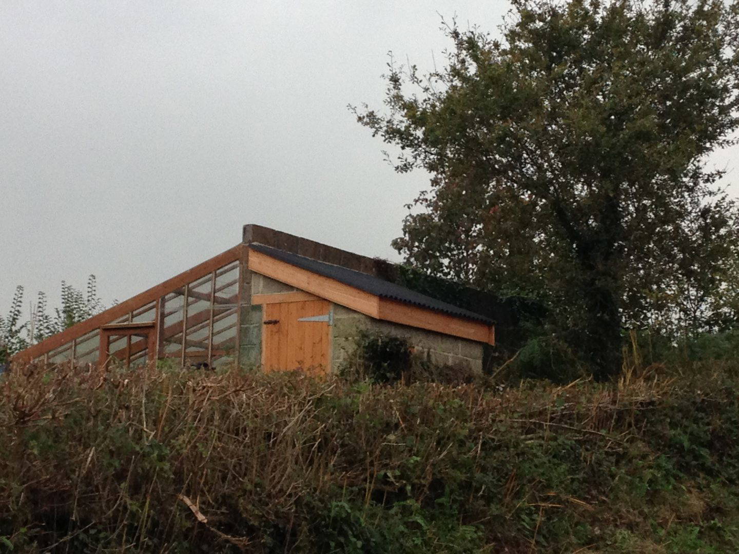 lean to shed renovation