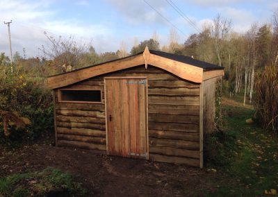 Shed Renovation