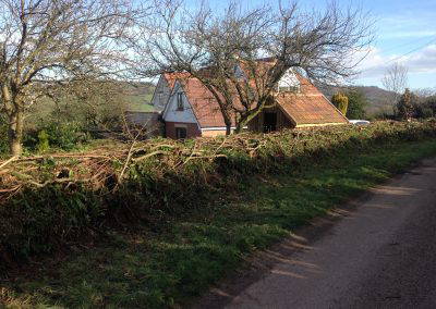 Hedge Laying