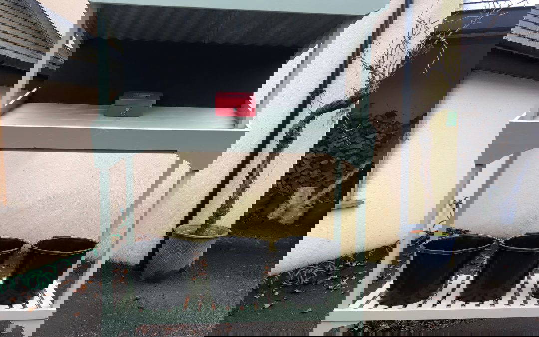 Flower and Vegetable Stall